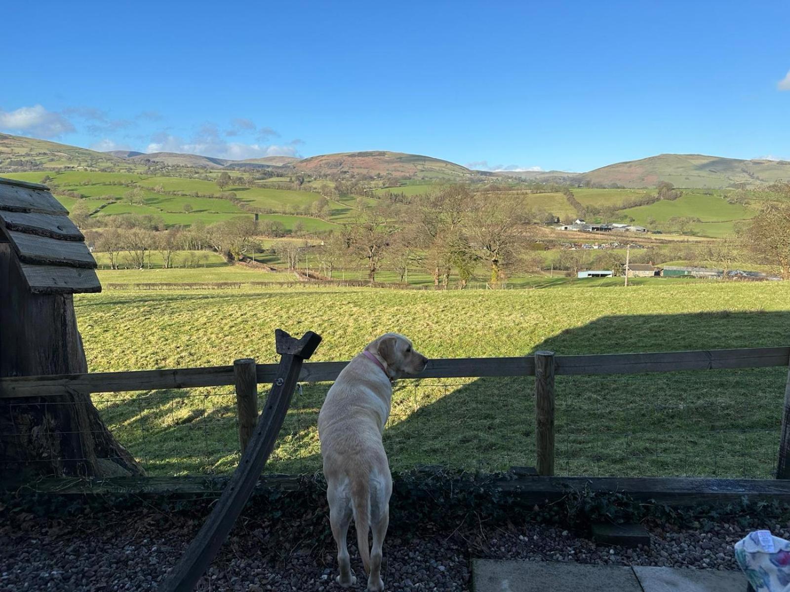 Вилла The Retreat Llanrhaeadr-ym-Mochnant Экстерьер фото