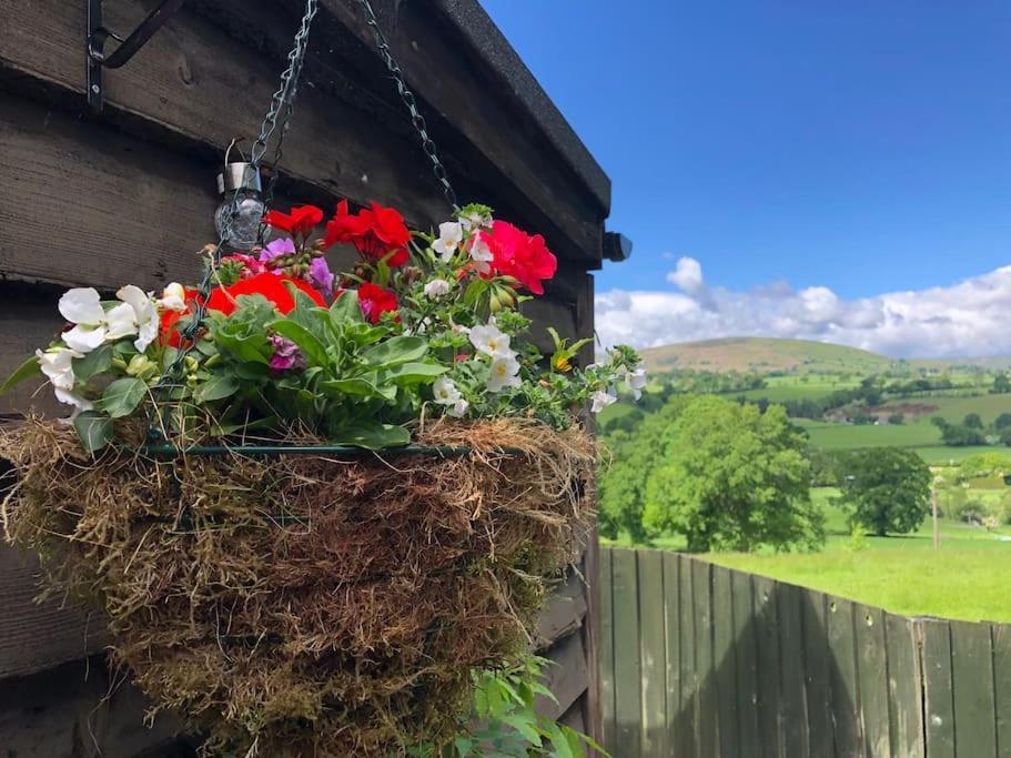 Вилла The Retreat Llanrhaeadr-ym-Mochnant Экстерьер фото